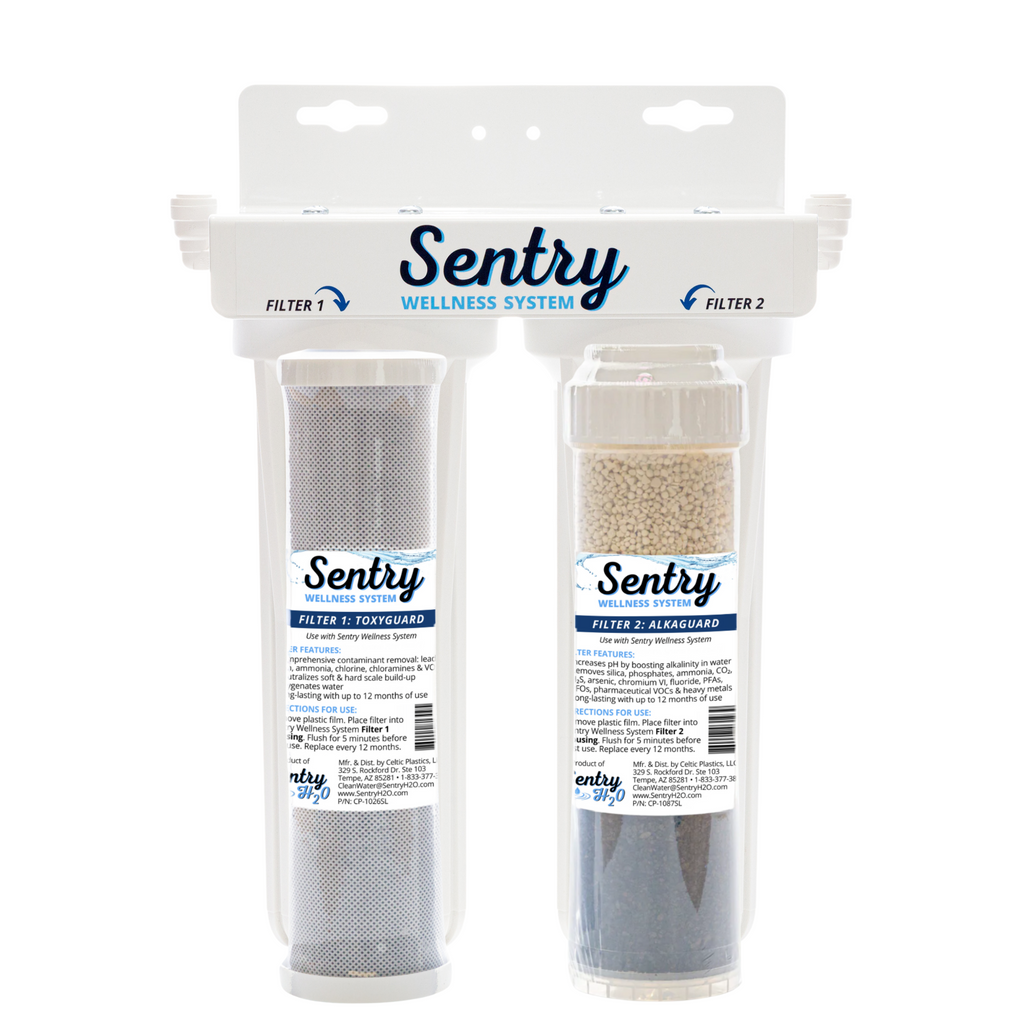 SISTEMA DE BIENESTAR SENTRY