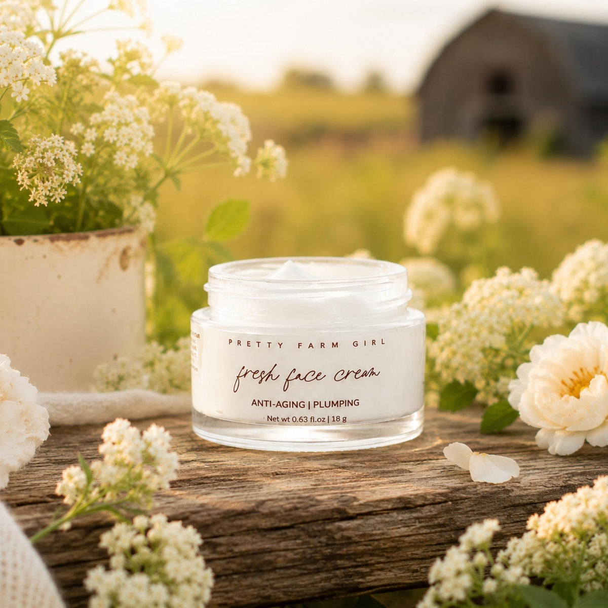 Fresh Face Cream Anti-Aging Talgfuktcreme